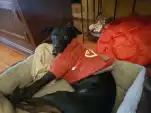 20191220 130429