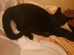 20191208 202905