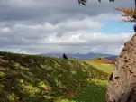 20191106 115324