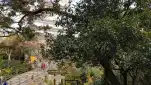 20191116 130602