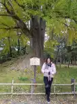 20191111 104758