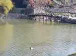 20191117 103720