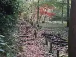 20191127 154946