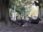 20191117 151023