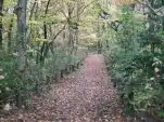 20191127 155513