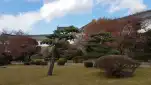 20191119 110900