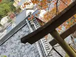 20191120 151755
