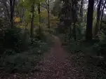 20191127 162925