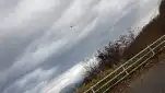20191106 073618