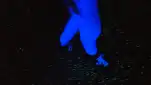 20191124 214134