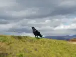 20191106 115505