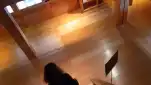 20191115 152915