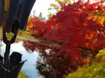 20191111 120541
