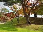 20191106 115626