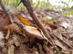 20191103 100207