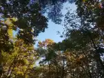 20191105 141729