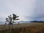 20191124 105427
