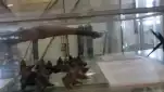 20191116 120519