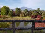 20191111 111723