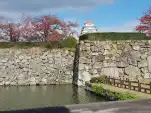 20191119 114431