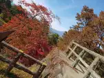 20191111 114425