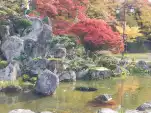 20191111 133058