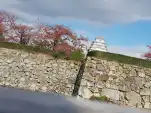 20191119 114437