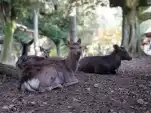 20191117 151047