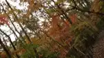 20191127 162553