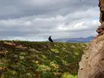 20191106 115334