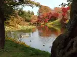 20191111 110206