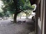20191117 150909