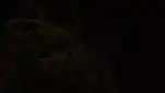 20191123 232022