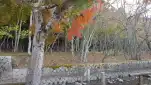 20191117 145521