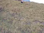 20191106 162245