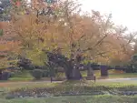20191111 133218