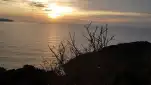 20191124 065853