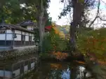 20191115 105429