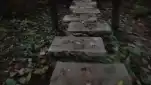 20191127 163307