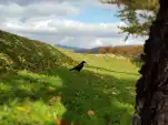20191106 115346