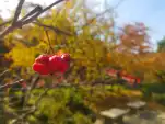 20191111 115528