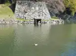 20191117 103714