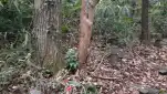 20191127 155609