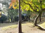 20191117 150732