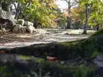 20191117 112054