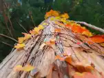 20191112 161636