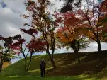20191106 115948