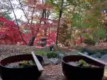 20191111 123241