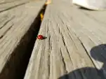 20191111 121115