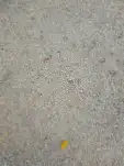 20191118 130308